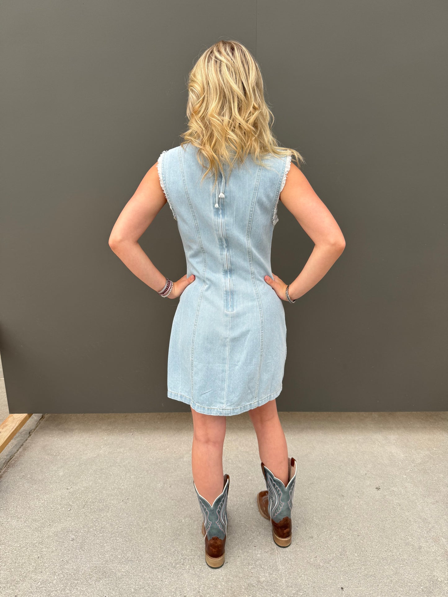 Lightwave Denim Dress