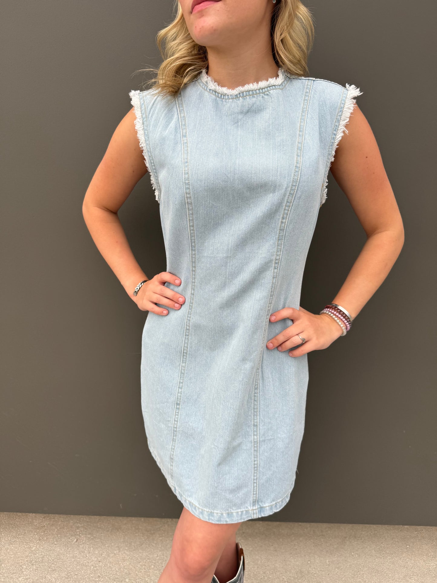 Lightwave Denim Dress