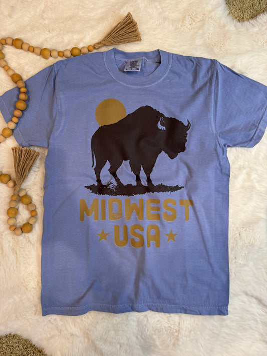 Buffalo in the Midwest Tee