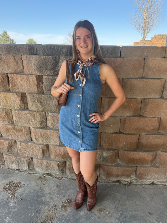 Button Down Denim Mini Dress