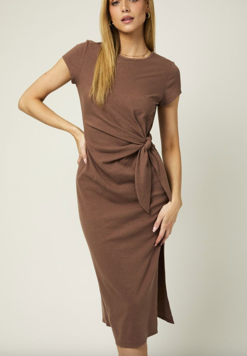 Brown Knit Maxi Dress